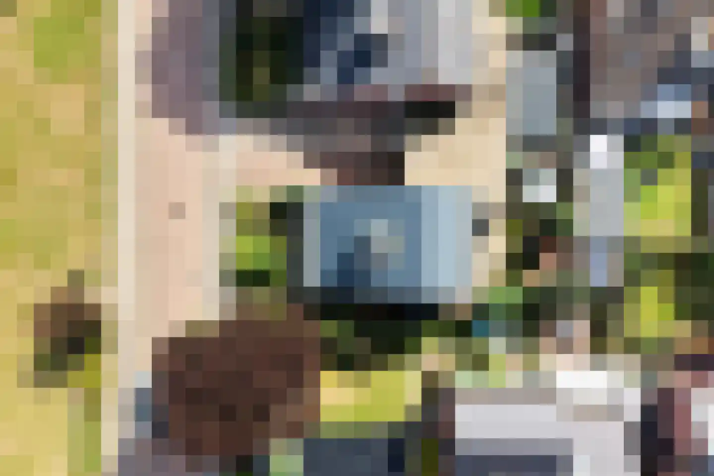 Hofwegen 19 Oentsjerk thumbnail 34