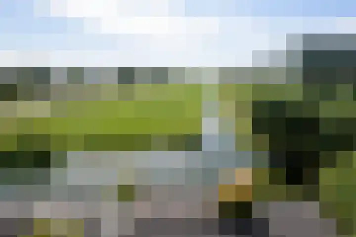 Hofwegen 23 a Bleskensgraaf ca thumbnail 26