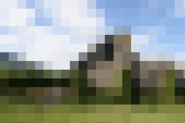 Hofwegen 23 a Bleskensgraaf ca thumbnail 30