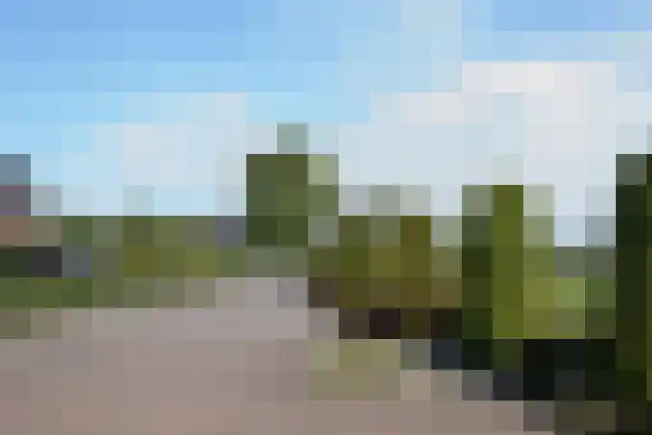 Hofwegen 23 a Bleskensgraaf ca thumbnail 4
