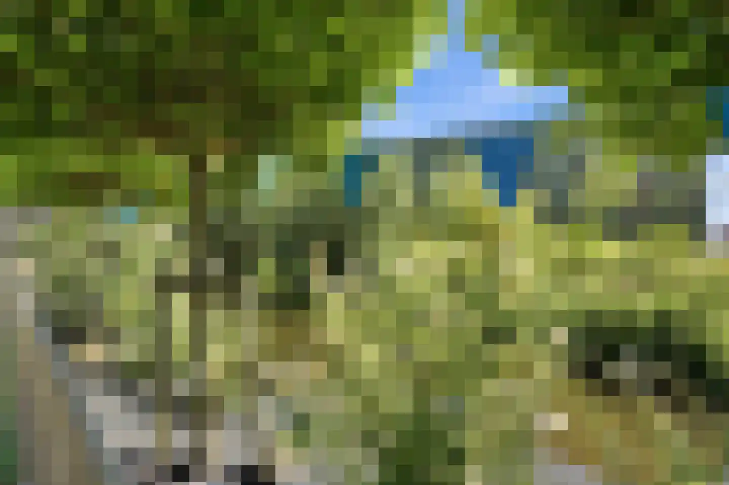 Hofwegen 24 Bleskensgraaf ca thumbnail 57