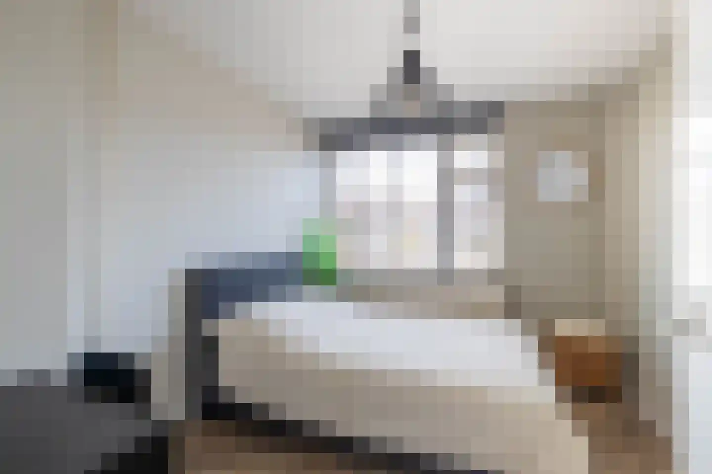 Hofwijck 12 Almelo thumbnail 16
