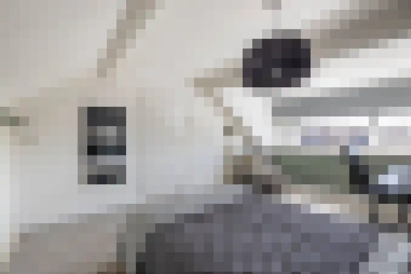 Hofwijck 12 Almelo thumbnail 20