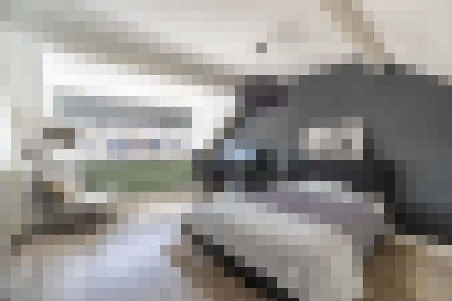Hofwijck 12 Almelo thumbnail 21