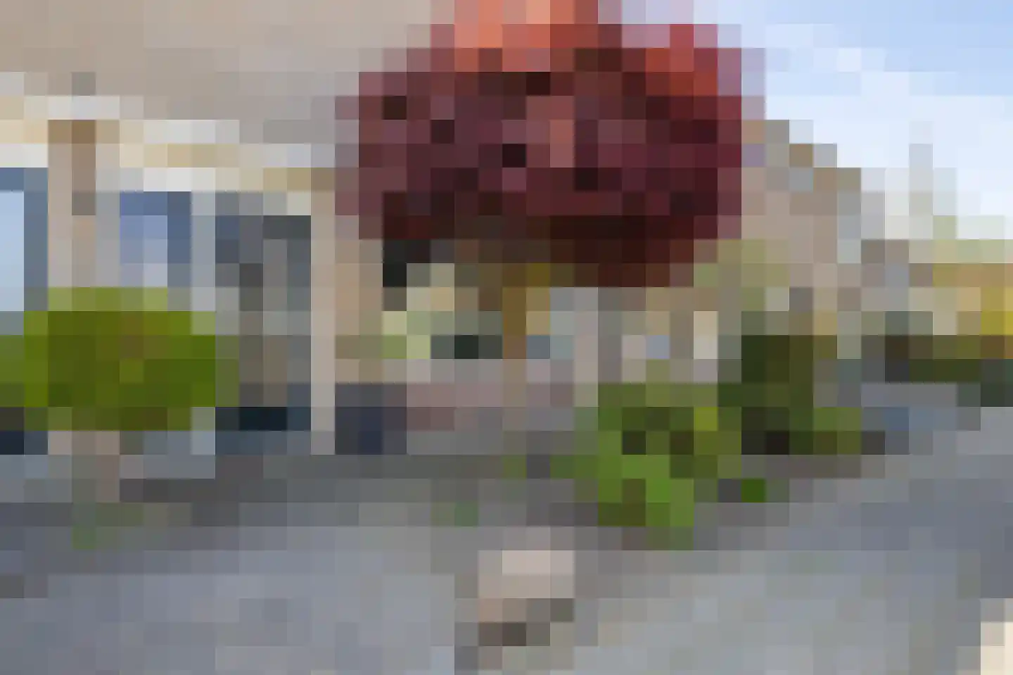 Hofwijck 12 Almelo thumbnail 27