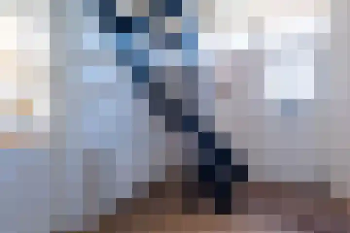 Hofwijck 14 Roden thumbnail 13