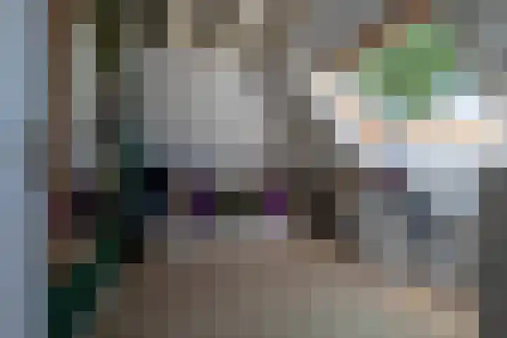 Hofwijck 14 Roden thumbnail 15