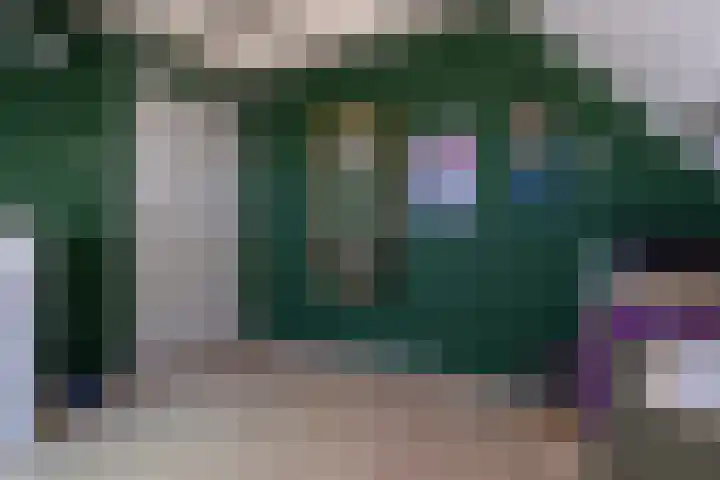 Hofwijck 14 Roden thumbnail 16