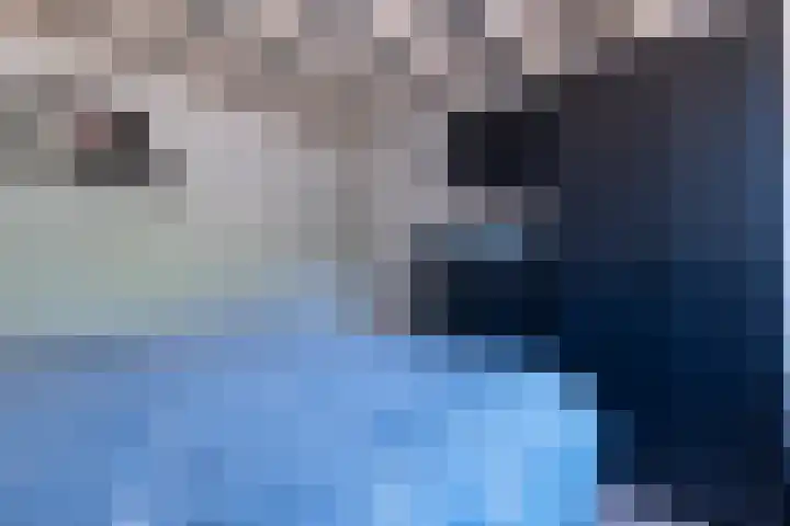 Hofwijck 14 Roden thumbnail 18