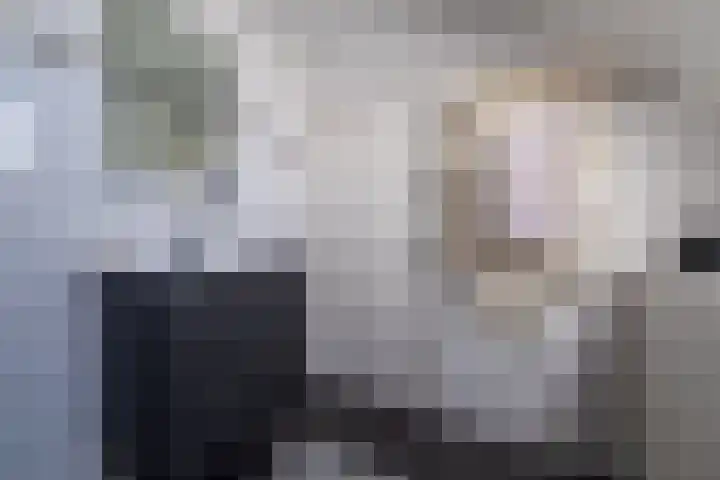 Hofwijck 14 Roden thumbnail 23
