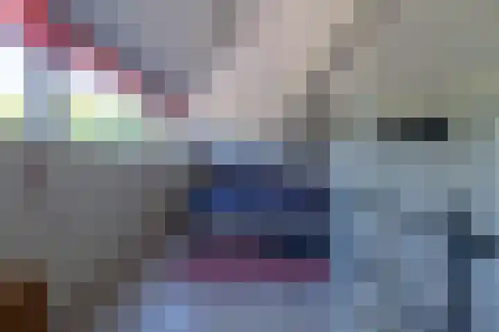 Hofwijck 14 Roden thumbnail 24