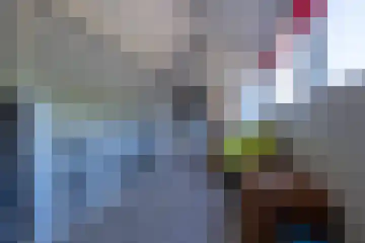 Hofwijck 14 Roden thumbnail 25