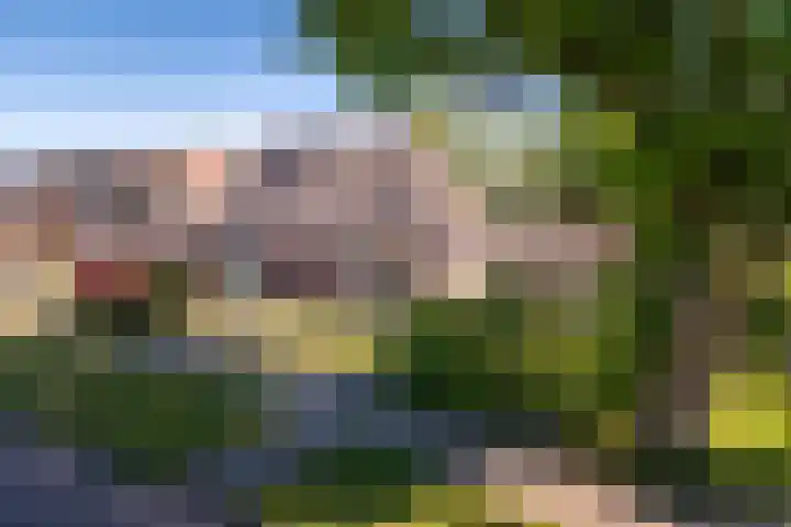 Hofwijck 14 Roden thumbnail 26