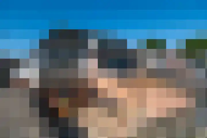 Hofwijck 14 Roden thumbnail 29