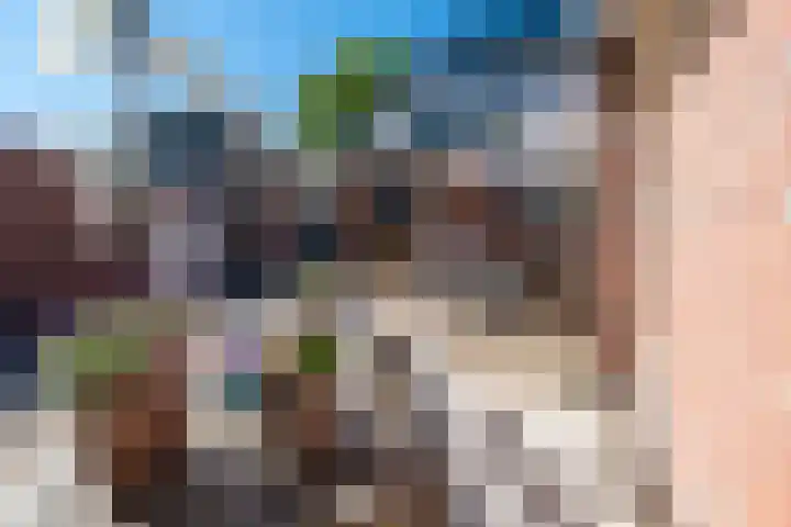 Hofwijck 14 Roden thumbnail 32