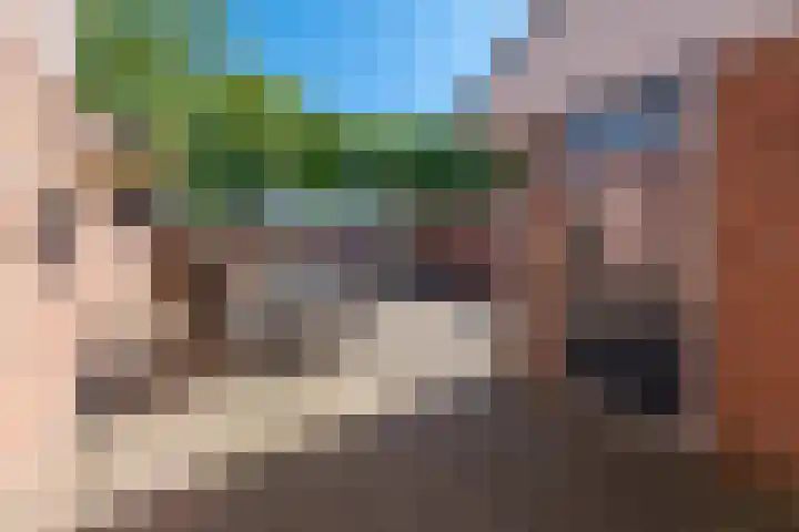 Hofwijck 14 Roden thumbnail 33