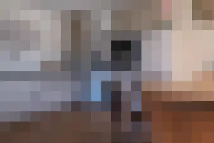 Hofwijck 14 Roden thumbnail 9