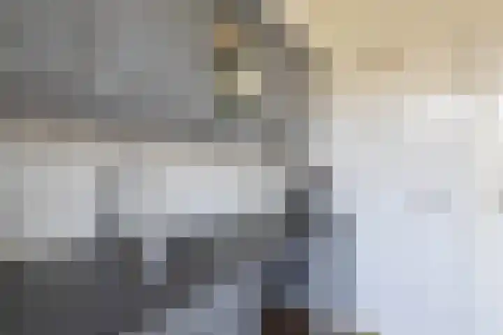 Hofwijck 15 Almelo thumbnail 13