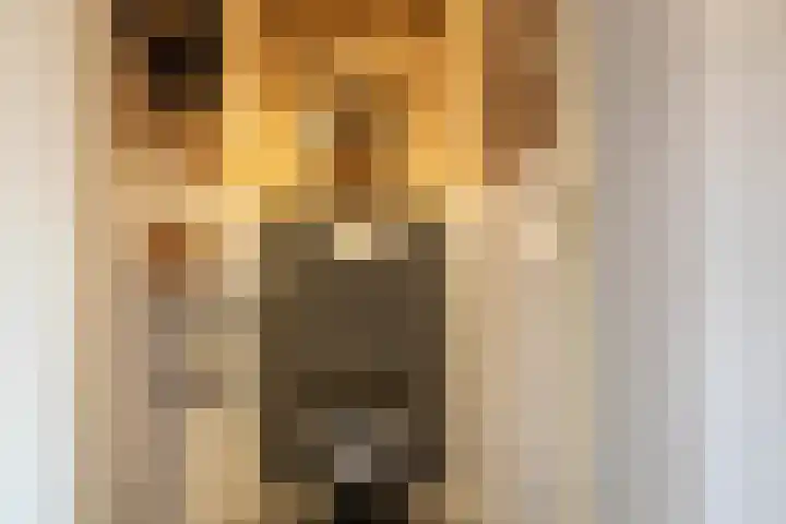Hofwijck 15 Almelo thumbnail 14