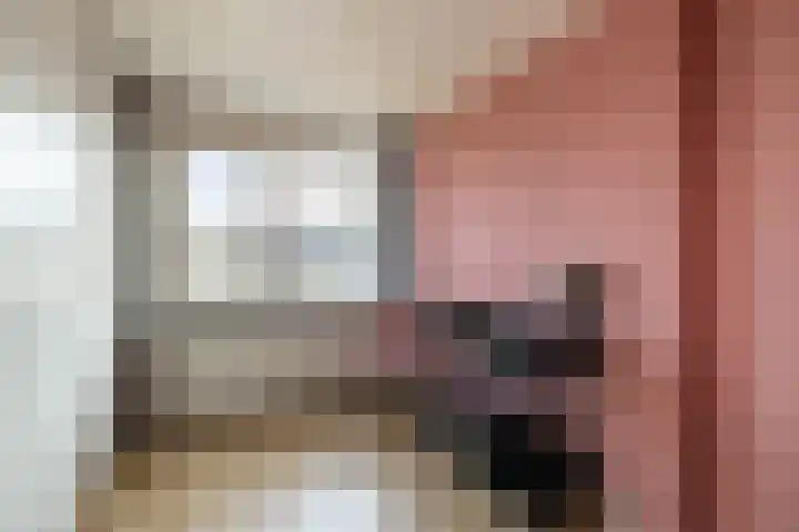 Hofwijck 15 Almelo thumbnail 18