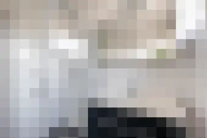 Hofwijck 15 Almelo thumbnail 20
