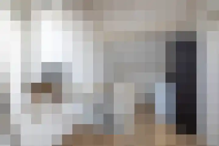 Hofwijck 15 Almelo thumbnail 21