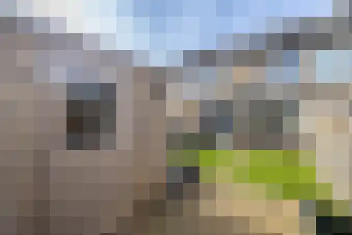 Hofwijck 15 Almelo thumbnail 25