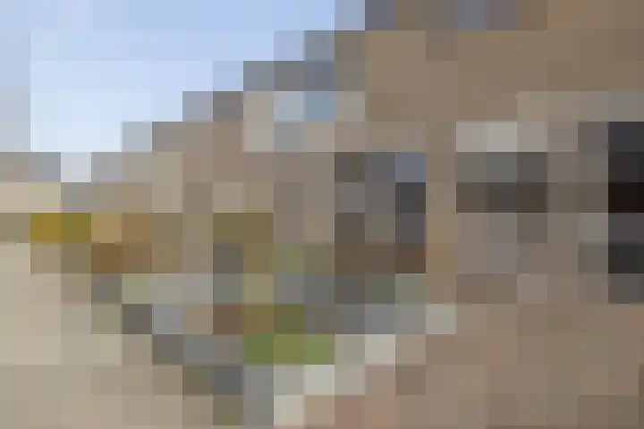 Hofwijck 15 Almelo thumbnail 28