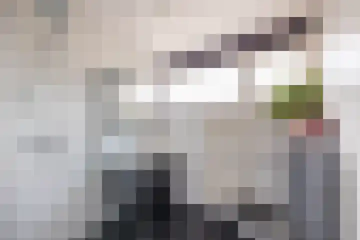 Hofwijck 15 Almelo thumbnail 4