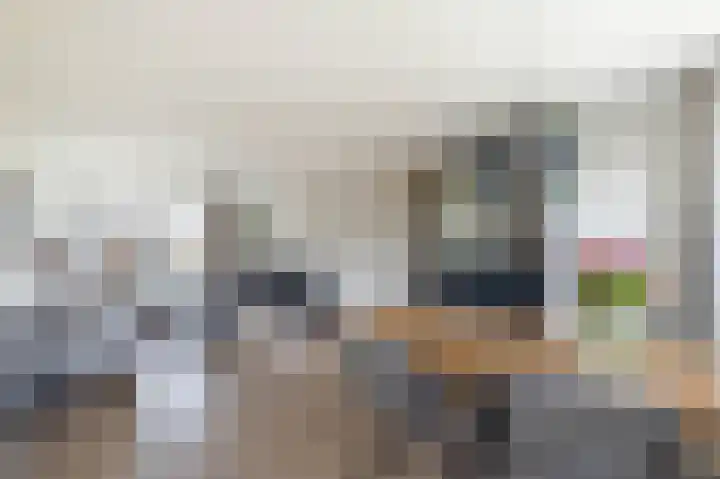 Hofwijck 15 Almelo thumbnail 6