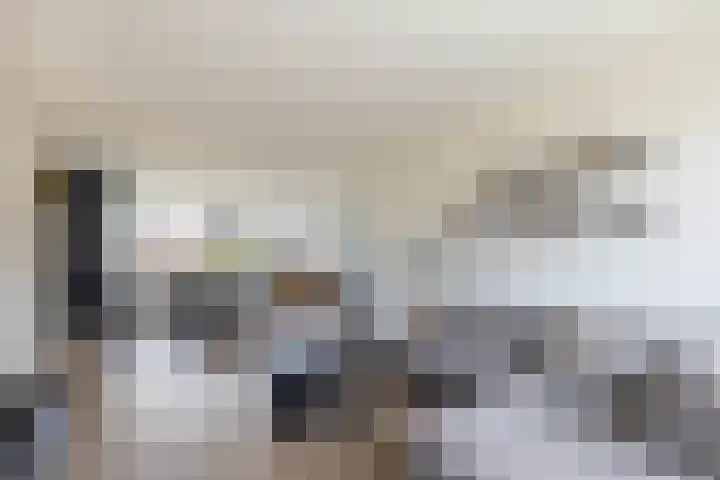 Hofwijck 15 Almelo thumbnail 7