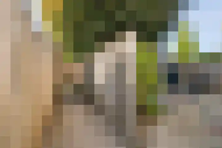 Hofwijck 18 Almelo thumbnail 23