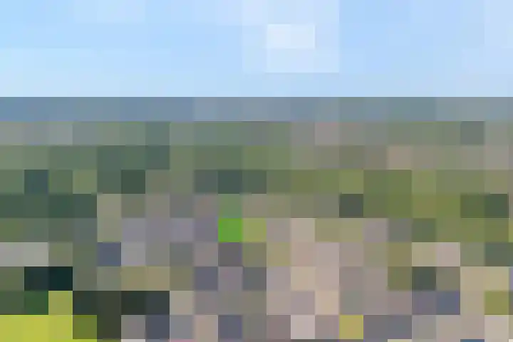 Hofwijck 18 Almelo thumbnail 24