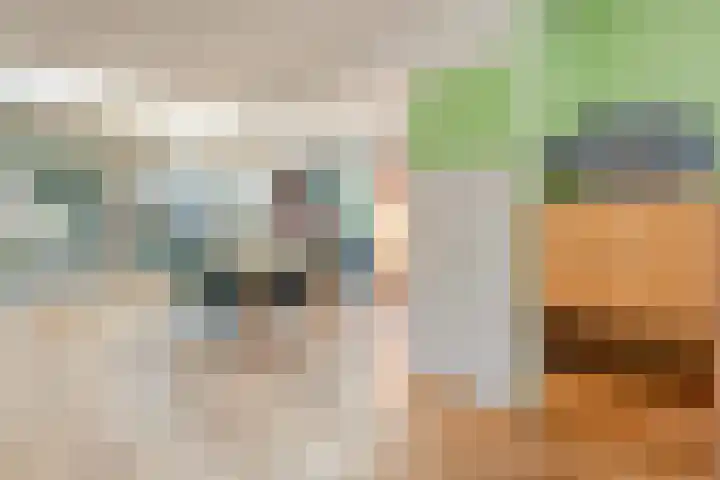 Hofwijck 18 Almelo thumbnail 9