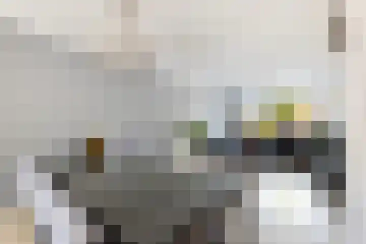 Hofwijck 20 Almelo thumbnail 10