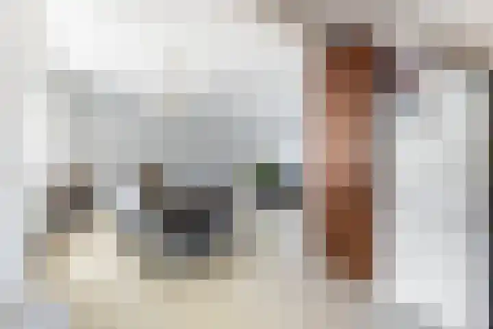 Hofwijck 20 Almelo thumbnail 11
