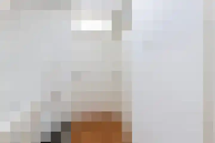 Hofwijck 20 Almelo thumbnail 13