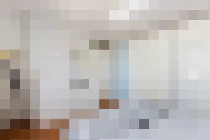 Hofwijck 20 Almelo thumbnail 15