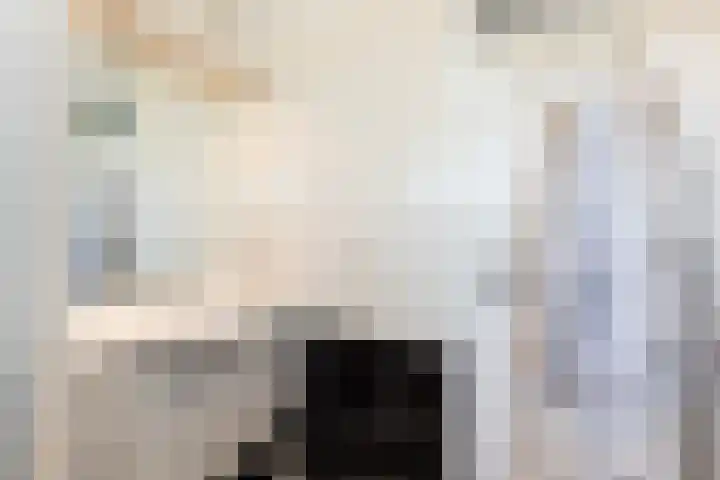 Hofwijck 20 Almelo thumbnail 21