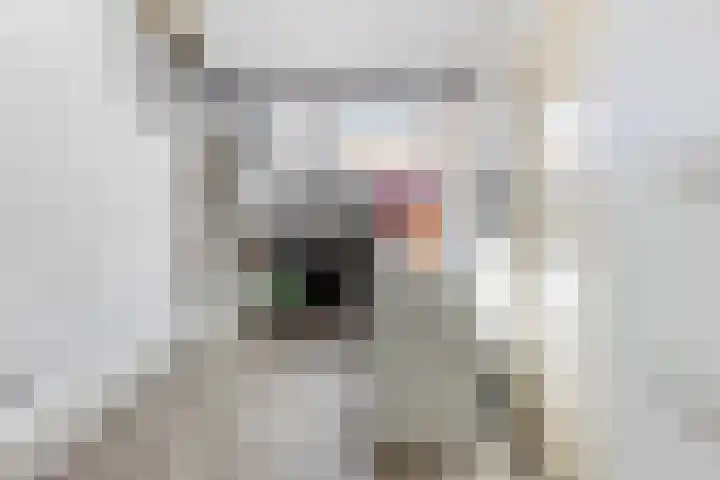 Hofwijck 20 Almelo thumbnail 24