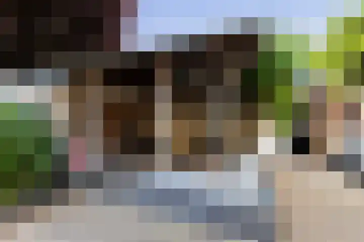 Hofwijck 20 Almelo thumbnail 30