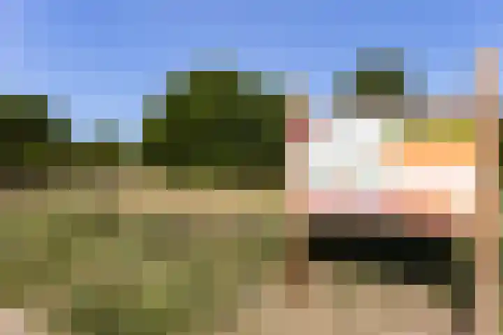 Hofwijck 20 Almelo thumbnail 34