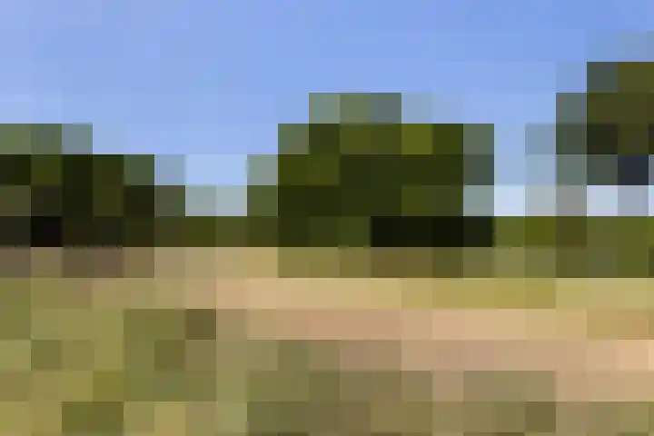 Hofwijck 20 Almelo thumbnail 35