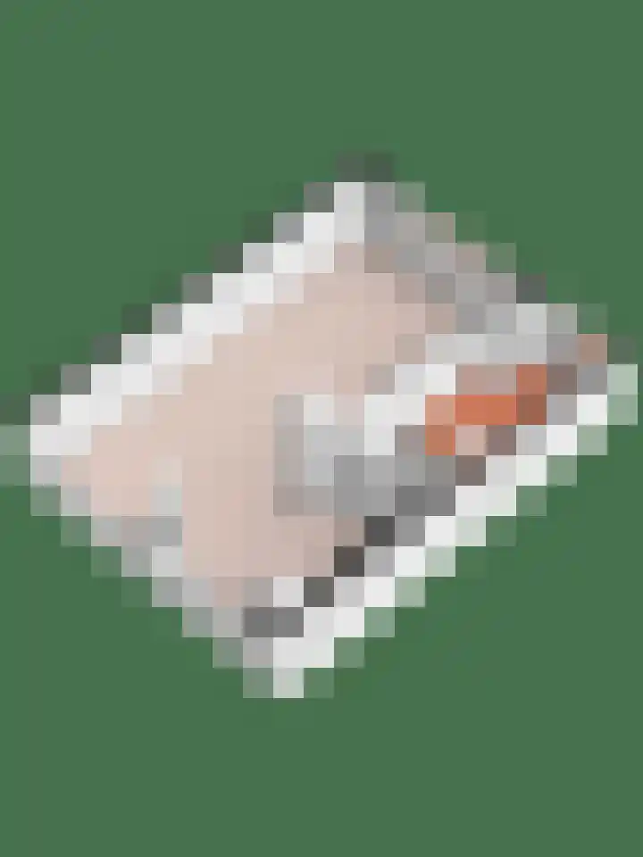 Hofwijck 20 Almelo thumbnail 37