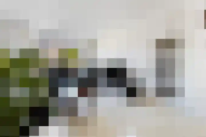 Hofwijck 20 Almelo thumbnail 7