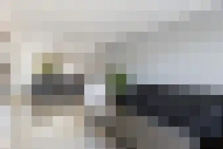 Hofwijck 20 Almelo thumbnail 9