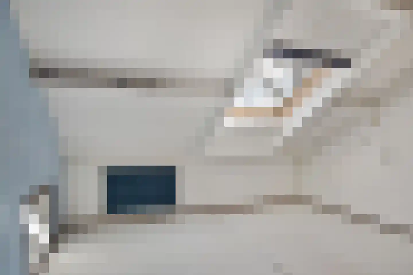 Hofwijck 26 Roden thumbnail 24