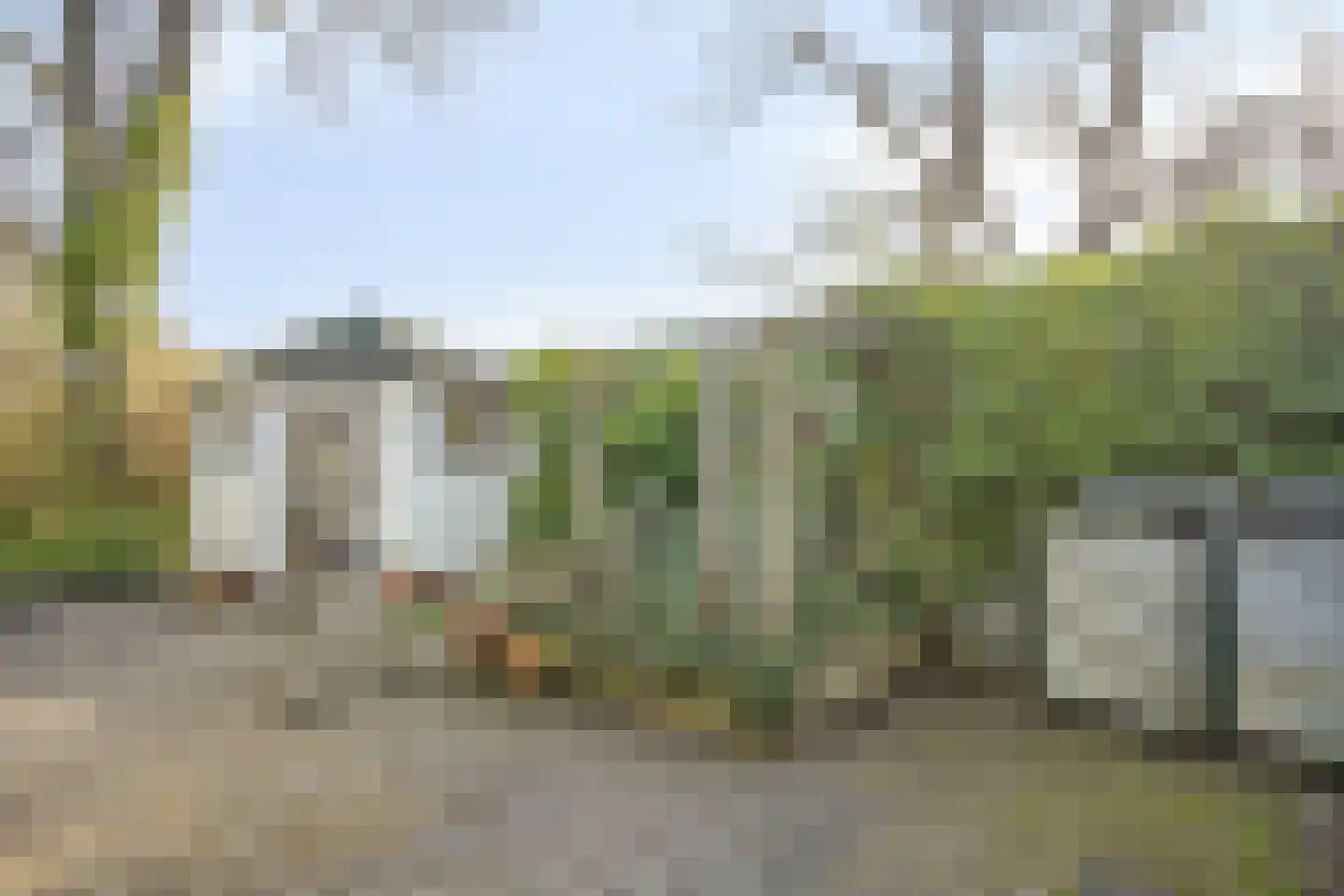 Hofwijck 26 Roden thumbnail 32