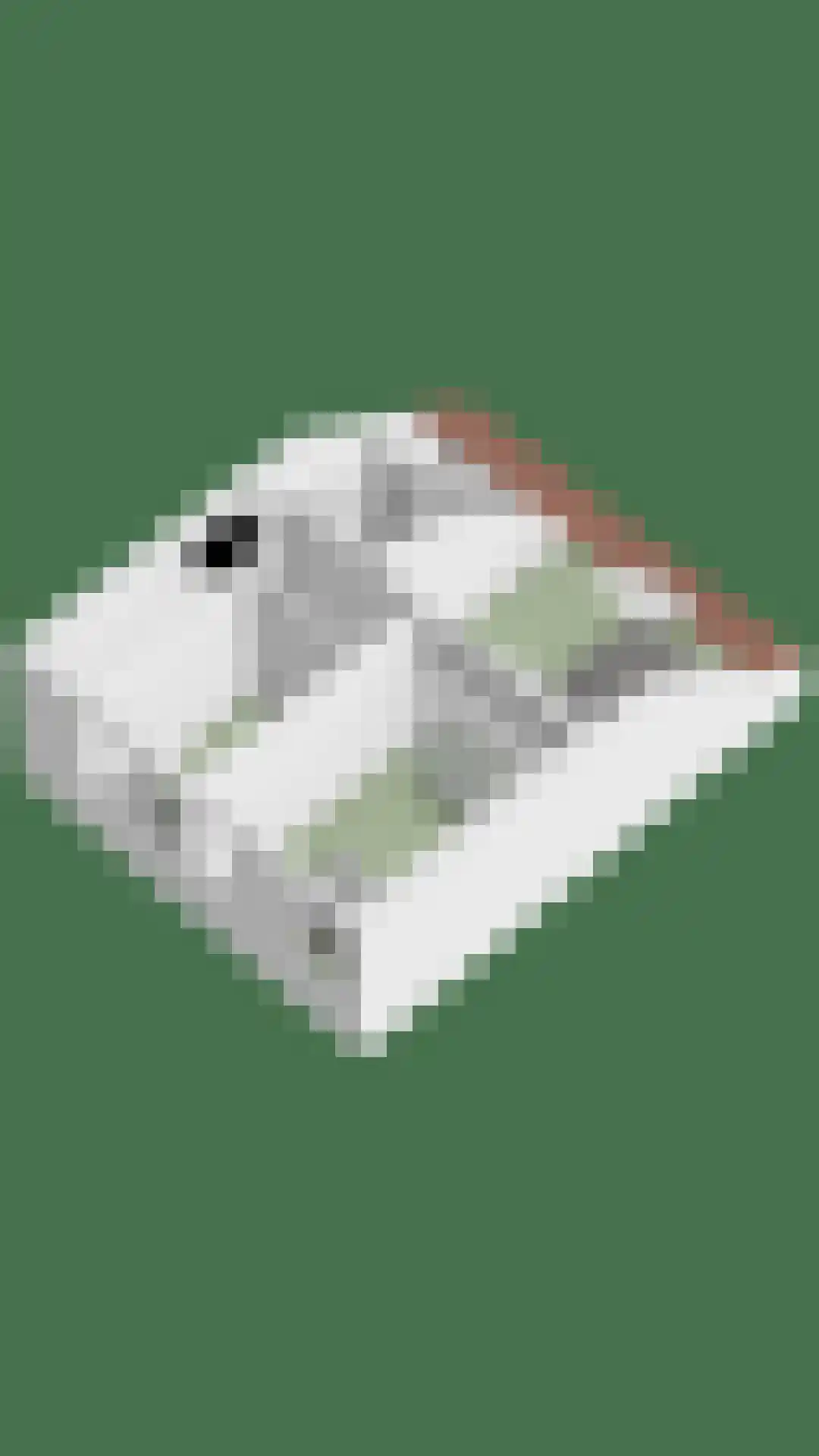 Hofwijck 26 Roden thumbnail 40