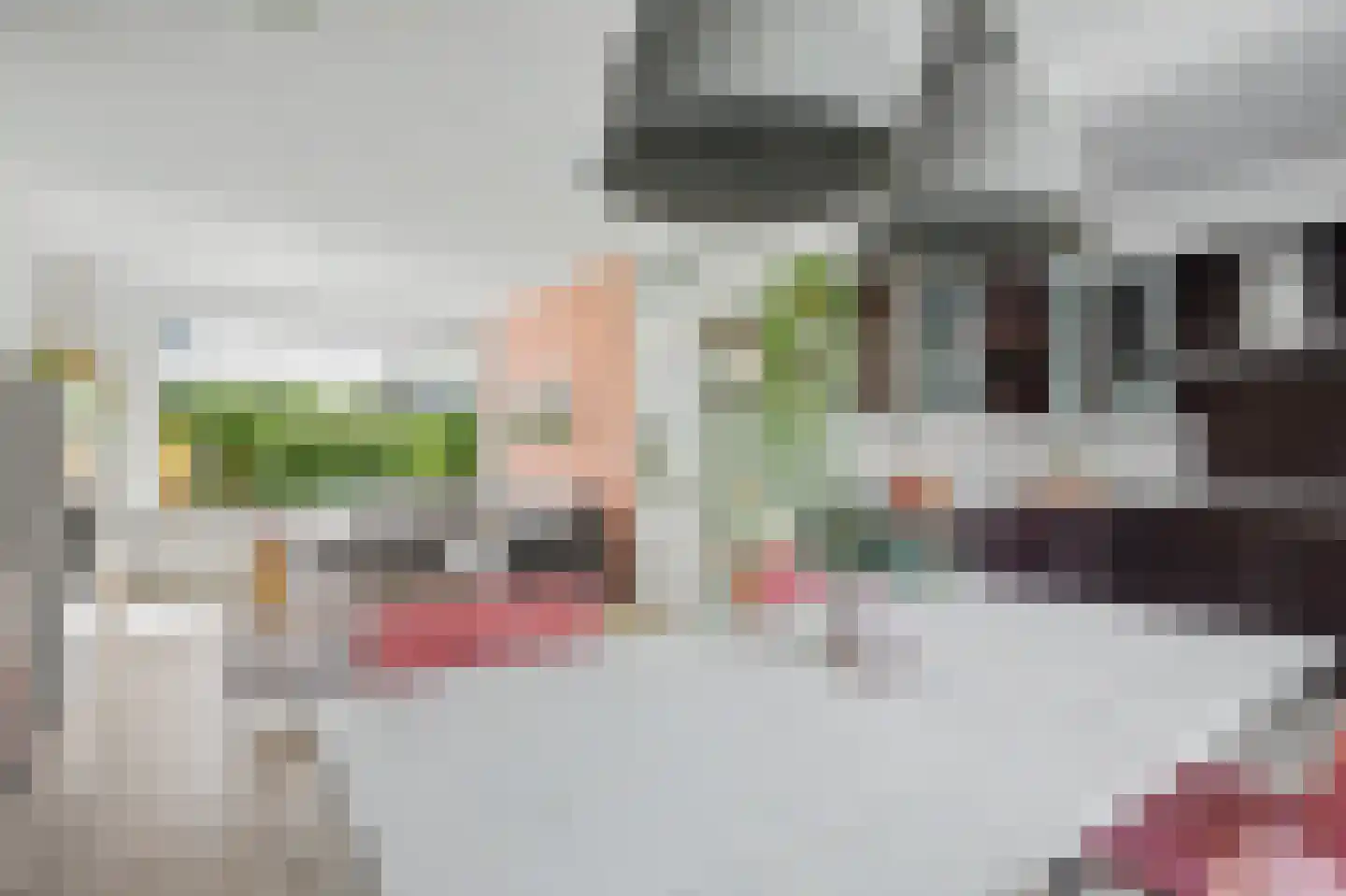 Hofwijck 28 Almelo thumbnail 10